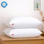 Zinnia Comfort Soft Microfiber Bed Pillows for Sleeping | White, Regular Size 16 x 24 Inches | Soft & Comfortable Set of Pillow for Home & Daily Use | Pack of 2