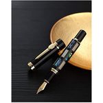 Fountain Pen With Advanced Mediums