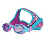 DragonFlys Goggles Shell Tint