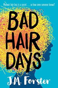 Bad Hair Days: A mystery for children and young teens aged 10-14