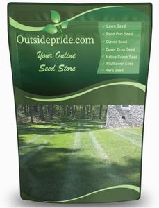 Outsidepride SPF-30 Hybrid Bluegrass Seeds - 50 lbs. Heat & Drought Tolerant, Texas Bluegrass & Kentucky Bluegrass Seed Mix for Challenging Climates, OptiGrowth Coated for Better Establishment