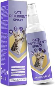 KTSAY Cat 