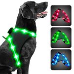 ChalkLit Light Up Dog Harness, Reflective Led Dog Harness Glow-in-The-Dark for Night Walking, USB Rechargeable Lighted Dog Safety Vest for Medium Dogs, Adjustable Soft Mesh No Pull (Green, M)