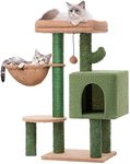 MeowSir Cat Tree Cute Tower Cactus 