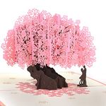 Shynek Cherry Blossom Pop Up Wedding Anniversary Card, 3D Love Card, Valentines Gift for Her, with Envelope and Blank Note