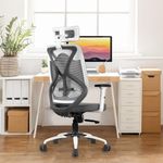 Vergo Transform Ergonomic High Back Mesh Office Chair | Lumbar Support, Adjustable Armrests, Multi Lock Synchro Mechanism, Metal Base | Home Office Desk Chair, 3 Years Warranty (White Grey)