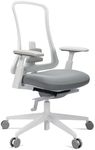 ProtoArc Ergonomic Office Chair - Flexer Nylon Breathable Mesh Chair (Flexer Pro-White)