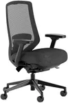 Branch Ergonomic Chair Pro - Mesh O