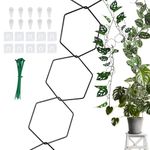 18pcs Chain Trellis for Climbing Plants, Hexagon Plant Vine Support with Cable Ties Iron Climbing Plant Chain Trellis Indoor Plant Trellis for Houseplant Plant Gifts