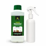 GREENFINITY Seaweed Pro Liquid Concentrate 1000ml For Indoor & Outdoor Plants With Measuring Cup & Empty Spray Bottle | Growth Booster Liquid Fertilizer | 1000ml