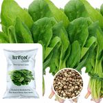 SIVON Spinach (Palak/Poi Sagh) 1200 + Vegetable Seeds for Home Garden, Organic & Hybrid, Perfect for Home Gardening, Planting For Pots and Patio