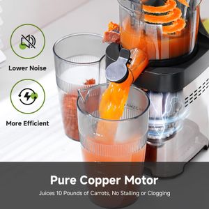 AMZCHEF Cold Press Juicer – Stainless Steel, Large Feed Chute, Easy Clean