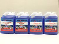 4 X Wet and Forget 10587 1 Gallon Moss, Mold and Mildew Stain Remover by Wet and Forget