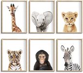 calmart Set of 6 Baby Safari Nursery Wall Decor - Picture Cute Animal Wall Prints on Canvas, under 20 dollars gifts for Baby Boys and Girls Room, UNFRAMED Wall Art(12 x 16 inch)