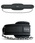 Breaking Limits Dip Belt - Weight Belt for Bodybuilding, Strength Training, Weightlifting, 96 cm Chain, 100 kg Load Capacity, One Size, Black