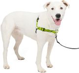 PetSafe Easy Walk Deluxe Dog Harnes