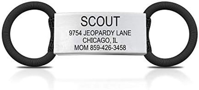 The Cat ID Jingle Free Peace of Mind Cat Tag
