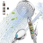 Filtered Shower Head with Handheld,