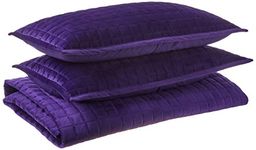 Tribeca Living Velvet King Quilt Set, Three-Piece Box Stitch Bedding Set Includes One Oversized Quilt & Two Sham Pillowcases, 260GSM Super Soft Velvet, Florence/Purple (FLORENCEQUIKIPU)