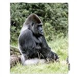 Moslion Soft Cozy Throw Blanket Gorilla Africa Grass Fuzzy Warm Couch/Bed Blanket for Adult/Youth Polyester 40 X 50 Inches(Home/Travel/Camping Applicable)