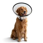 WOOFLIX Dog Cone Collar for Recovery | Adjustable Elizabethan E Collar for Dogs | Anti Lick Dog E Collar for Post Surgery & Wound Healing | Comfortable Fit for Small, Medium & Large Dogs (Size 4)