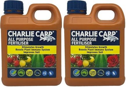 Charlie Ca