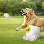 ALL FOR PAWS Automatic Dog Ball Launcher with 6PCS 2.5in EPTU Balls, Ball Thrower for Medium to Large Dogs, Interactive Dog Fetch Toy for Mental & Physical Exercise, Launches Up to 64ft