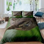 Kids Sloth Duvet Cover Cute Animal Decor Bedding Set for Kids Boys Girls Cartoon Sloth Tree Branches Comforter Coverwild Life Style Bedspread Cover Room Decor 2Pcs Single Size,Zipper