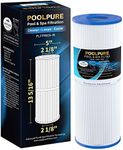 POOLPURE PLFPRB25-IN Hot Tub Filter