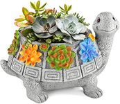 Plant Pots, Cute Turtle Succulent Pot Planters for Indoor Plants with Drainage Hole, Flower Garden Pots for Plants, Succulent, Cactus Home Office Desk Garden Decor Plant Lovers Gifts for Woman