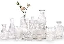 Glass Bud Vase Set of 10 - Small Va