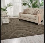 NAZIYA RUGS Soft Modern Shag Area Rugs Fluffy Living Room Carpet Comfy Bedroom Home Decorate Floor Kids Playing Mat.