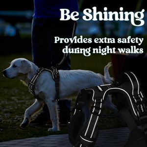 rabbitgoo Large Dog Harness – No-Pull Adjustable, Black