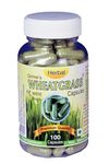 Girme's Wheatgrass Capsules - 100 Capsules Pack