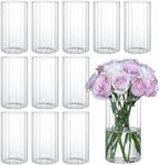 12Pcs Glass Cylinder Vases for Cent