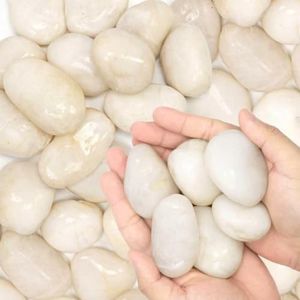 1-2" Polished Pebbles, Medium River Rocks for Potted Plants (43lb, White)