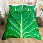 Homemissing Green Lettuce Comforter Cover Vegetable Bedding Set for Kids Boys Girls Cabbage Duvet Cover 3D Food Themed Bedspread Cover Decor Breathable Bedclothes Single