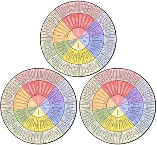 Weewooday 3 Pcs Emotion Wheel Magnet 4.8 Inch Feelings Wheel Magnet Feelings Emotions Chart Wheel Fridge Magnet Mental Health Gifts Social Counselor Worker Stickers School Office Decor (Bright Colors)
