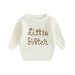 PanLidapan Sister Matching Outfit Clothes Big Sister Jumper Little Sister Sweater Kid Toddler Baby Girl Knitted Sweatshirt Pullover (White Little Sister, 0-3 Months)