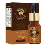 Old Tree Pure and Natural Clove Bud Essential Oil (15ml) - for Skin, Teeth, Diffuser and Aromatherapy - Undiluted Massage Oil with Glass Dropper