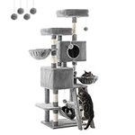 FourFurPets Cat Tree for Indoor Cat