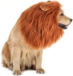 GALOPAR Lion Mane for Dogs Realistic Lion Wig Dog Lion Costume, Halloween Christmas Funny Dog Costumes Photo Shoots Entertainment, Suitable for Medium and Large Sized Dogs