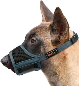 HEELE Dog