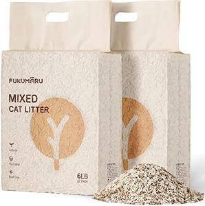 FUKUMARU T