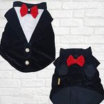 Kitty & The Woof Gang Black and White Velvet Tuxedo with Red Bow in Front and Back for Dogs | Wedding Tuxedo for Dogs | Size M