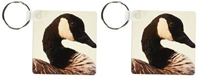 3dRose LLC 8 x 8 x 0.25 A Canada Goose (Branta canadensis), bird - NA02 RBR0001 - Rick A. Brown - Key Chains, set of 2 (kc_84168_1)