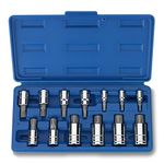 13 Pc Ribe BIT Drive Driver Set for Socket Tool Set Kit M4 to M16 Polydrive Poly