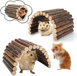 Hamster Toys Guinea Pig Toys Hamste