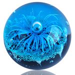 Hand Blown Glass Blue Flower Sphere Figurine,Blue Paperweight Glass Ball,Sea Plant Ornament for Fish Tank Aquarium,Sea Plant Collection for Birthday Gift,Glass Paperweight