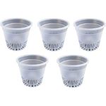 Kolkata Orchid Online> Orchid Clear Pot Set of 5 Pot, 5inch Hight, Best for Phalaenopsis Orchid or Any Aerial Root Orchid, 100% Vergin Plastic